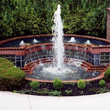 images-Pool Environments and Pool Houses-Pools_14.jpg
