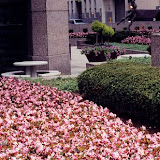 images-Maintenance-totalcare_b23.jpg
