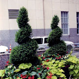 images-Seasonal Color-seasonal_b2.jpg