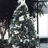 images-Seasonal Color-season_12.jpg