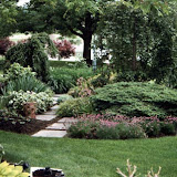 images-Seed and Sod-sod_7.jpg