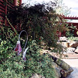 images-Landscape Lighting and Illumination-illum_b14.jpg