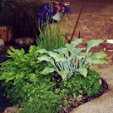 images-Landscape Lighting and Illumination-illum_12.jpg