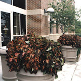 images-Site Amenities-site_amen_9.jpg