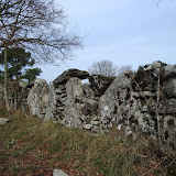 08/02/17 Arredores de Monterroso (Lugo)