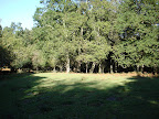 Camposa no Monte Río Los Vados