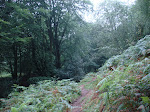 La Biescona
