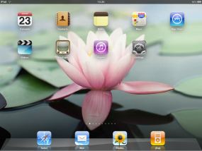 ipadhomescr285 Whats the point in the application iPad?