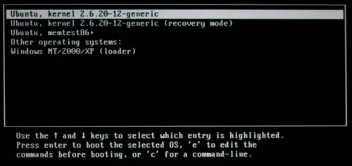 grub loader e1277684684405 How to change the look of GRUB loader to the Linux Burg