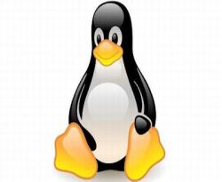 Linux Linux Linux developers the collaboration makes Mobile OS