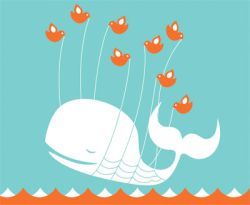 Twitter Spam Acai Berry attack Twitter
