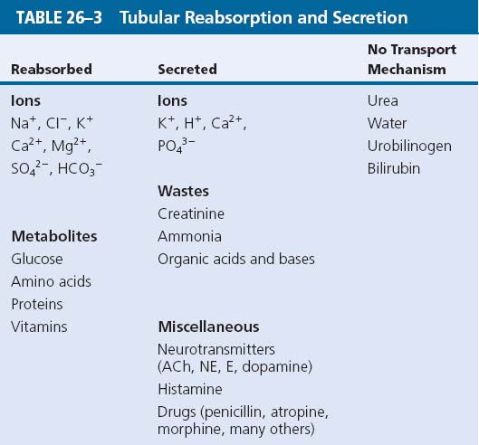 kidney_manged_molecules.jpg
