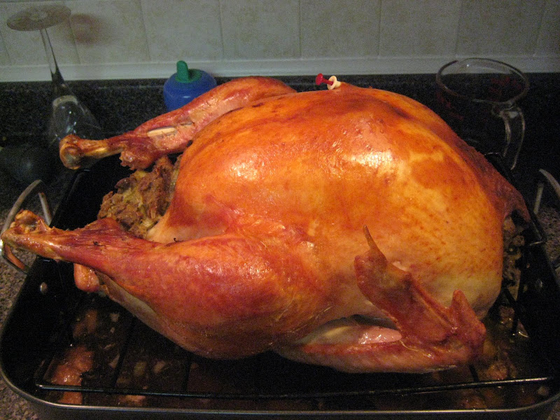 Quite possibly the finest-looking bird I've ever cooked