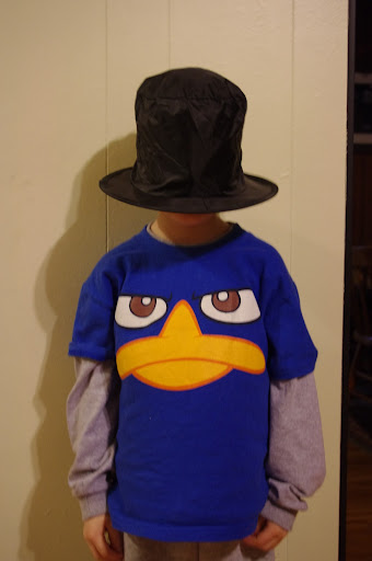 Perry the Platypus wears a hat.