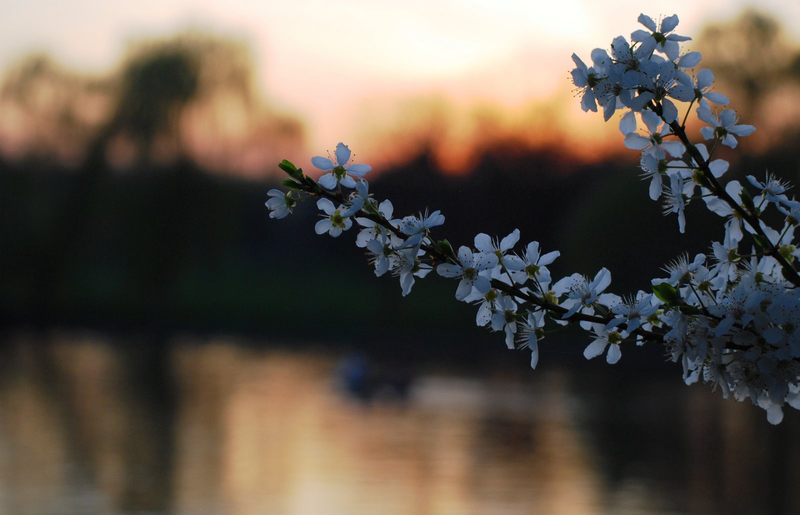 [DSC_7973.JPG]