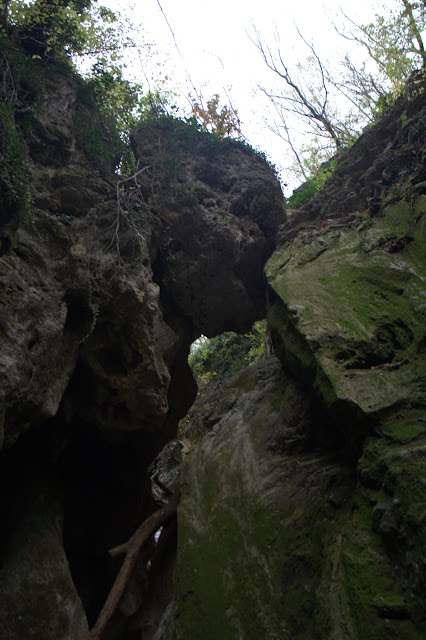 _MG_0262.jpg