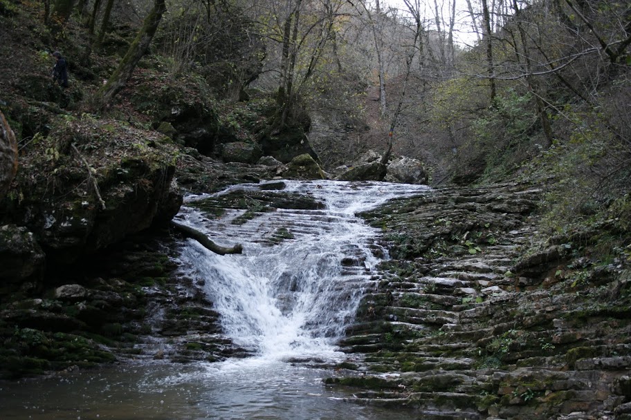 _MG_0298.JPG