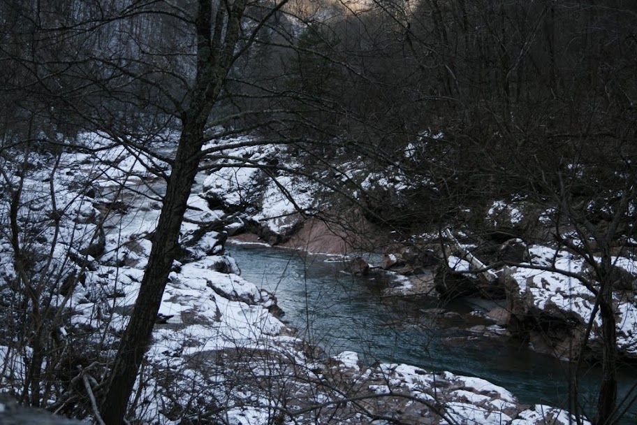 _MG_0426.JPG