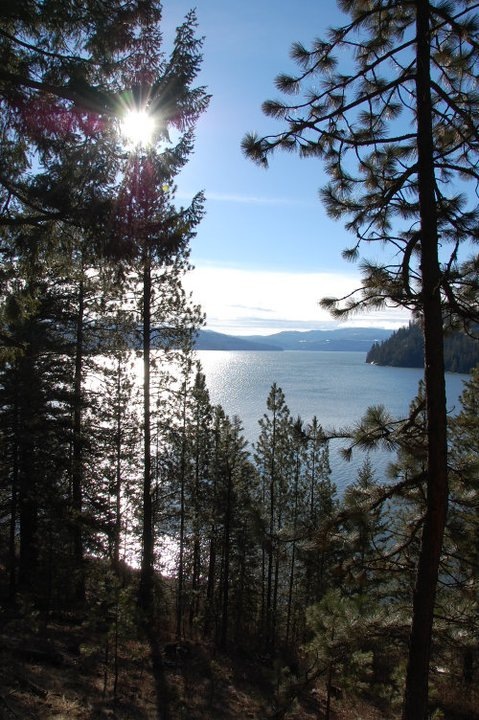 [lakecdamelody[3].jpg]