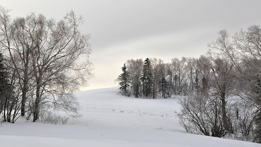 DSC_0120.JPG