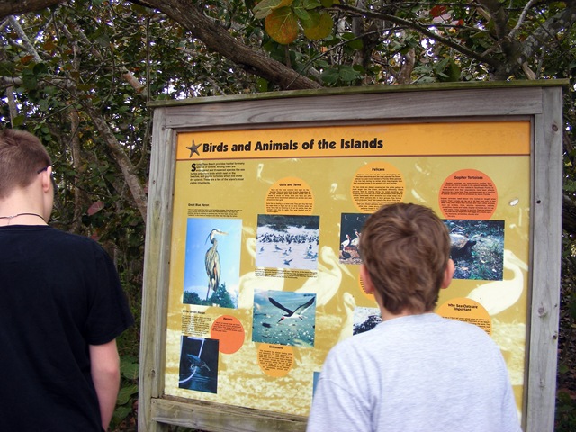 [december 2009 023[4].jpg]