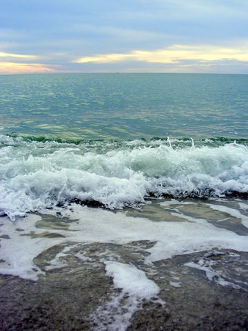 [december 2009 074[5].jpg]