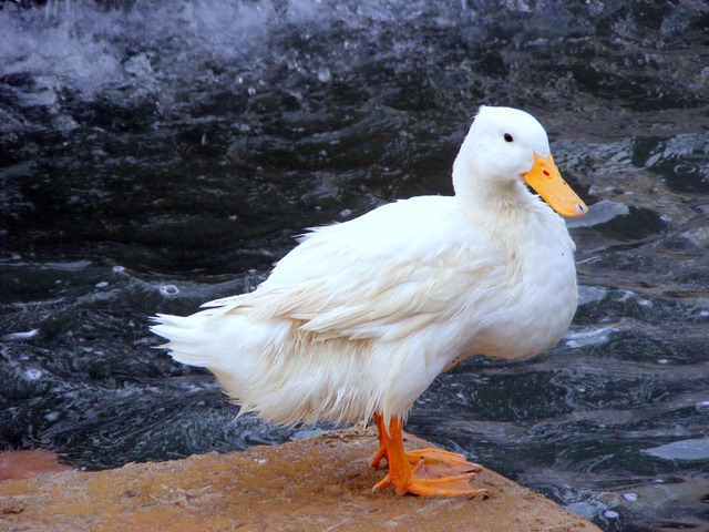 [december20090326.jpg]