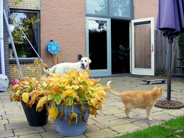 [oktober 2010 097[6].jpg]