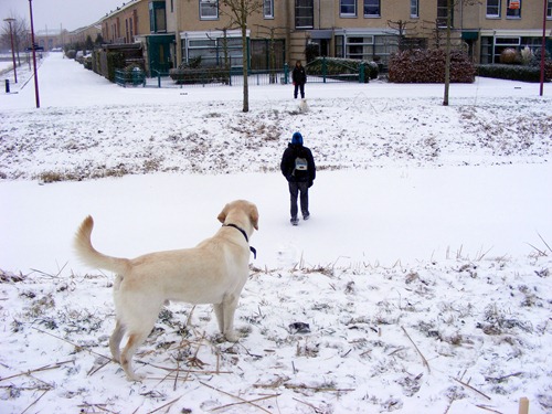 december 2010 037