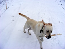 december 2010 049