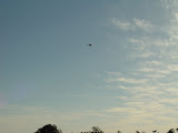 DSC07629.JPG