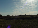 DSC07633.JPG
