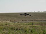 DSC07637.JPG