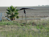 DSC07639.JPG