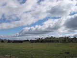 Unknown000067.JPG
