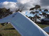 P8130006.JPG