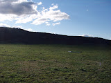 P8130016.JPG