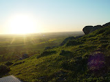 DSC07173.JPG