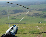 DSC07206.JPG