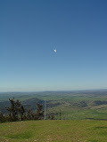 DSC07234.JPG
