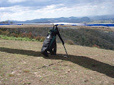 PB110235.JPG