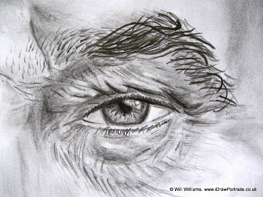 Celebrity Portrait Drawings