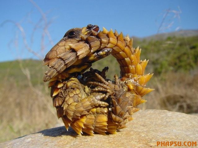 nature_03.jpg