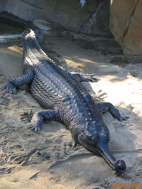 nature_23.jpg