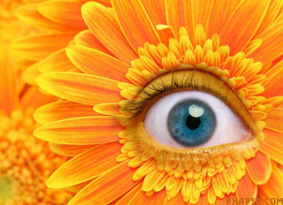 photoshop_08.jpg