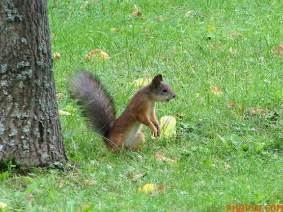 animals_217_20.jpg