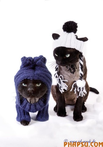 animals_217_19.jpg