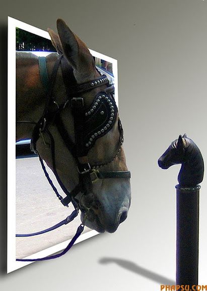 horse.jpg