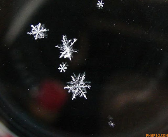  Những bông tuyết tuyệt đẹp 
