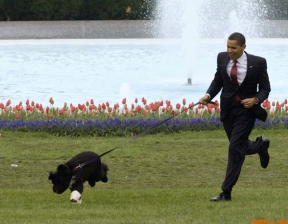 RNPS IMAGES OF THE YEAR 2009 - U.S. President Barack Obama presents the first family's new Portuguese Water Dog puppy, Bo, on the South Lawn at the White House in Washington April 14, 2009.     REUTERS/Larry Downing   (UNITED STATES POLITICS ANIMALS SOCIETY IMAGE OF THE DAY TOP PICTURE)